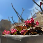 Villa H-aris Seafront Mansion Chalki Town