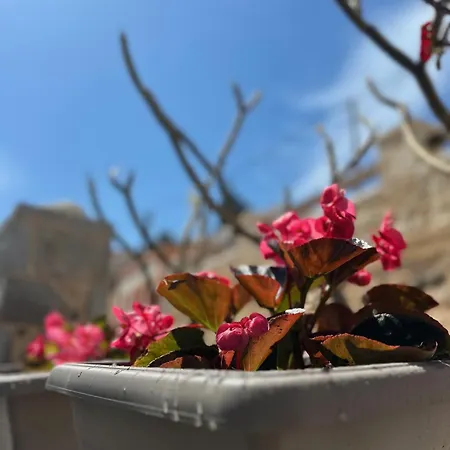 Vila H-aris Seafront Mansion Chalki Town