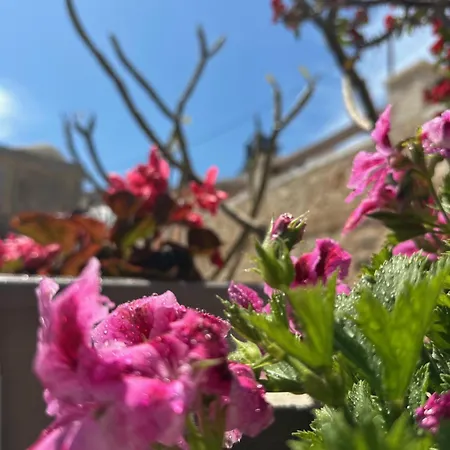 H-aris Seafront Mansion Chalki Town