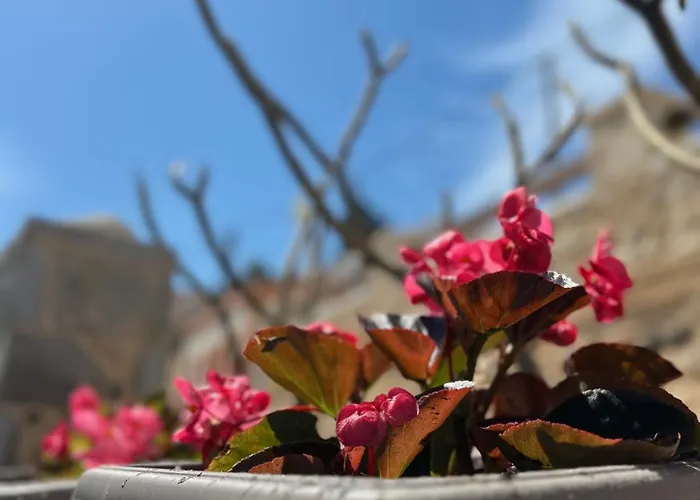 Villa H-aris Seafront Mansion Chalki Town