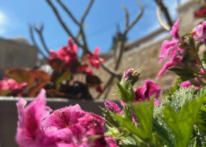 H-aris Seafront Mansion Chalki Town