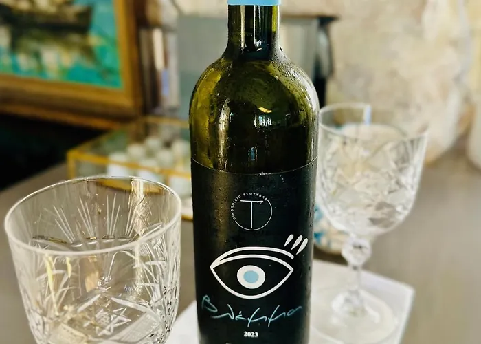 Villa H-aris Seafront Mansion Chalki Town